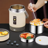 electric lunch box