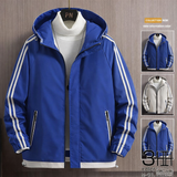 Veste Kore