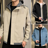 Veste Kore